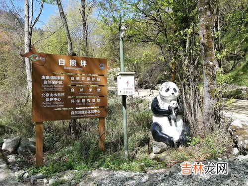 生态保护需要用什么来解决问题,如何保护生态环境的措施