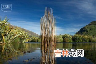 生态保护需要用什么来解决问题,如何保护生态环境的措施