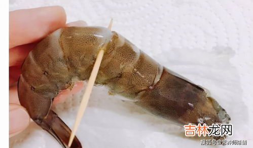 白色盲虾耐热多少度,生活在450℃ 深海火山口的白色盲虾,给吃货出了一道难题