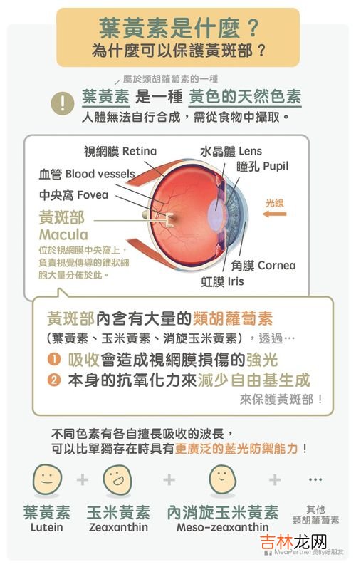百合康叶黄素怎么看真伪,百合康叶黄素怎么样