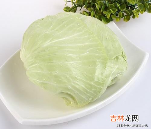 包菜和卷心菜是一种吗,想问卷心菜是包菜吗？