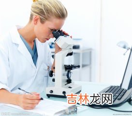 科学研究三种主要方法,科学研究方法有什么