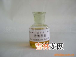 沙棘籽油的功效与作用,沙棘油是什么功效?