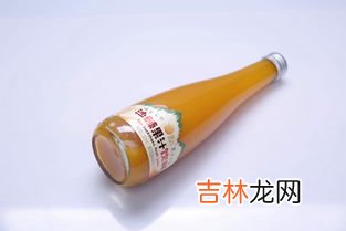 沙棘籽油的功效与作用,沙棘油是什么功效?