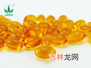 沙棘籽油的功效与作用,沙棘油是什么功效？