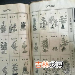 本草纲目作者是谁,本草纲目的作者是谁？