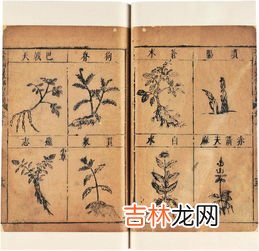 本草纲目作者是谁,本草纲目的作者是谁？