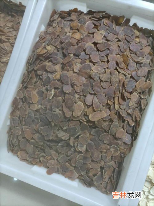 鹿胎盘胶囊的价格多少,新西兰鹿胎胶囊的功效与作用