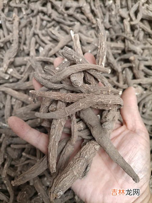 鹿胎盘胶囊的价格多少,新西兰鹿胎胶囊的功效与作用