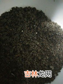 920 赤霉素怎么用,赤霉素的使用方法？