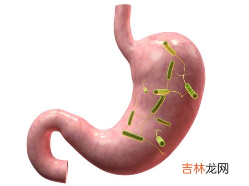 齿痕舌吃什么效果最好呢,齿痕舌怎么调理
