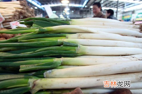 大葱如何冬天储藏,大葱怎样储存冬天 大葱冬天的储存方法