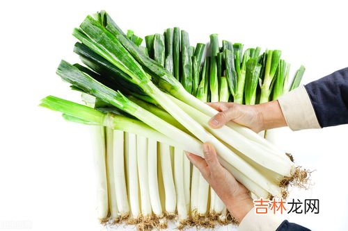 大葱如何冬天储藏,大葱怎样储存冬天 大葱冬天的储存方法