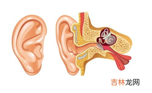 怎样防止耳朵进水发炎,游泳时如何预防耳朵进水