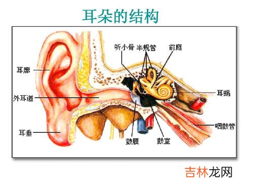 怎样防止耳朵进水发炎,游泳时如何预防耳朵进水