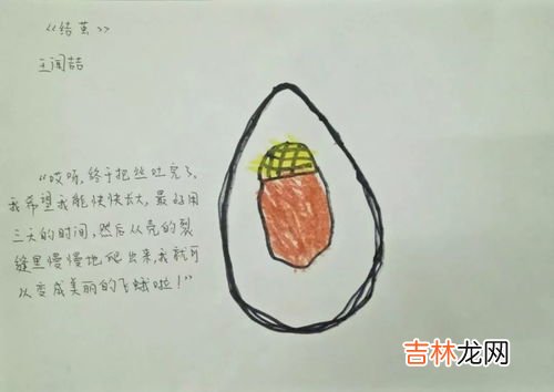 蚕的一生,蚕的一生要经历多长时间？