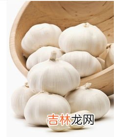 快速去除口腔蒜味葱味的方法,饭后应怎样去除口腔蒜味葱味