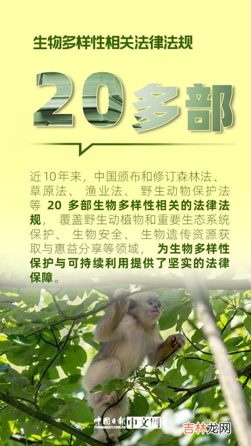 保护生物多样性的四种措施,保护生物多样性的措施有哪些