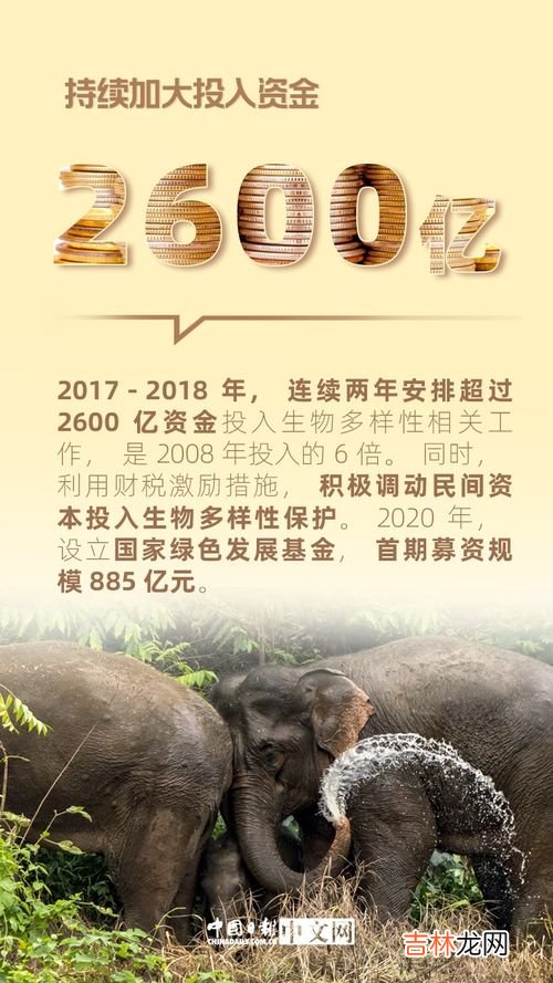 保护生物多样性的四种措施,保护生物多样性的措施有哪些