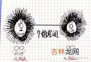 生命之花八个维度,复盘生命之花，启动生涯平衡轮