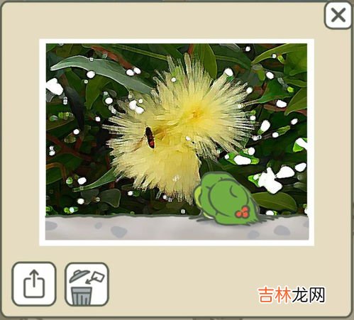 生命之花八个维度,复盘生命之花，启动生涯平衡轮