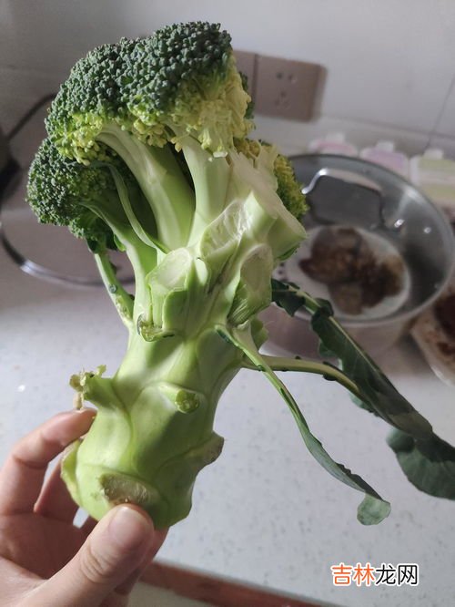 西兰花梗可以吃吗,西兰花根可以吃吗 西兰花根能吃吗