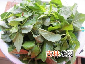 蒜里面长绿芽还能吃吗,大蒜长了绿芽还能吃吗