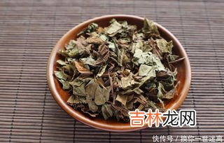鱼腥草片孕妇可以吃吗,孕妇可以吃鱼腥草吗