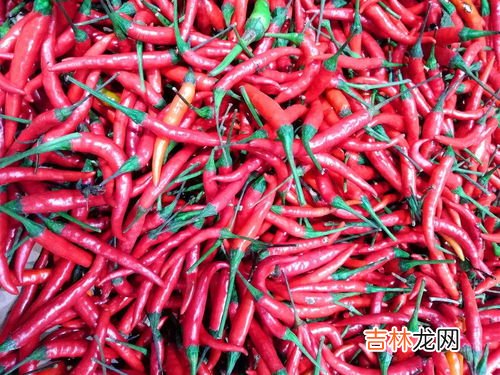 大量新鲜辣椒怎么保存,鲜辣椒怎么储存保鲜 鲜辣椒的储存方法