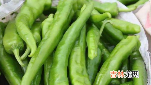 大量新鲜辣椒怎么保存,鲜辣椒怎么储存保鲜 鲜辣椒的储存方法