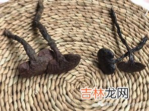 苍耳子泡水喝的功效和注意事项,苍耳子的功效与作用 有什么服用禁忌
