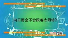 向日葵会一直跟着太阳的方向转来转去吗,向日葵会一直跟着太阳的方向转来转去吗 太神奇了