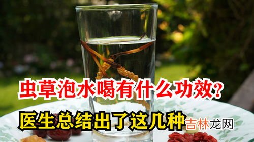 虫草怎么泡水方法,冬虫夏草怎么用开水泡?