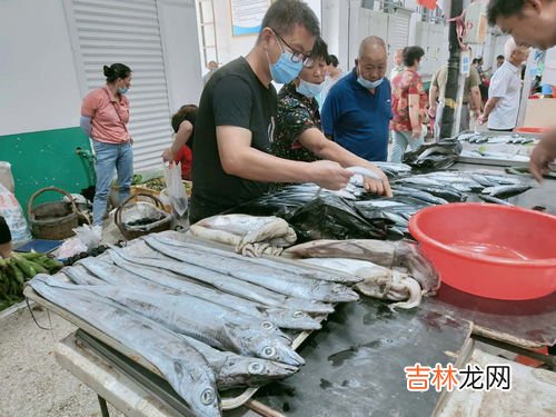 带鱼是野生的还是人工养殖的,带鱼可以养殖吗 带鱼能不能人工养殖
