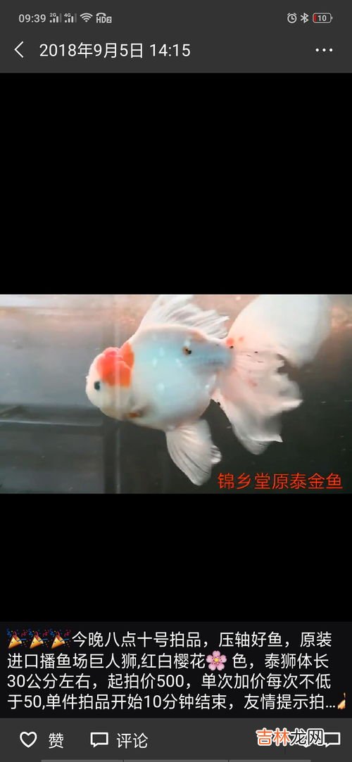 鱼的记忆为什么只有7秒 为什么说鱼的记忆只有7秒,鱼的记忆为什么只有七秒小故事