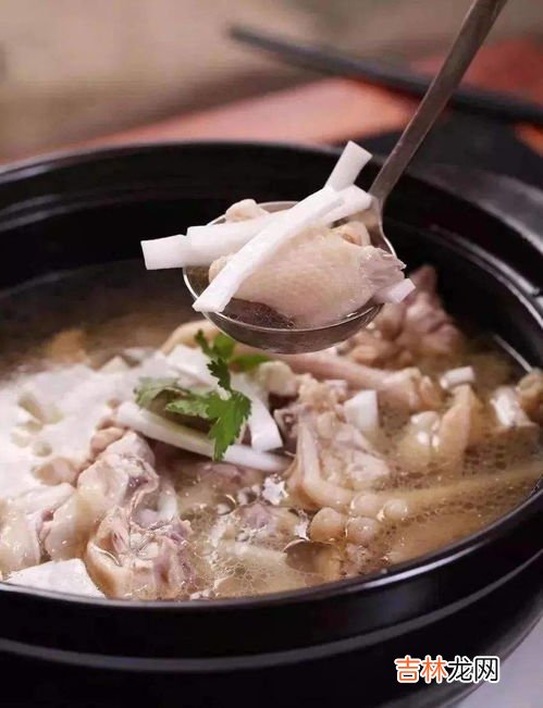 椰子鸡用什么椰子,椰子鸡用什么椰子 使用什么椰子做椰子鸡