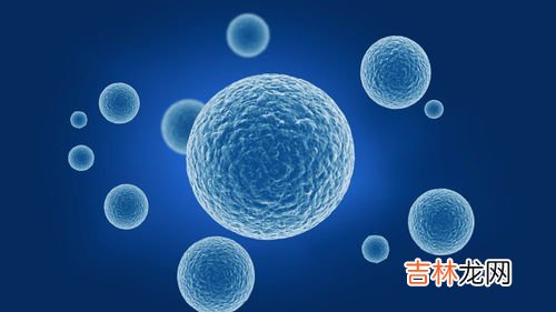 心肌肽干细胞的作用功效,干细胞的作用是什么