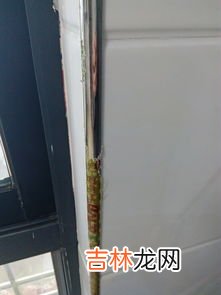 新门上面的保护膜怎么快速去掉,木门上的塑料膜怎么去除？有什么小妙招？