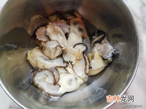 生蚝和羊肉可以一起吃吗,羊肉和生蚝能一起吃吗