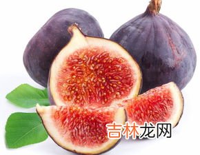 无花果是水果吗,无花果的功效及作用