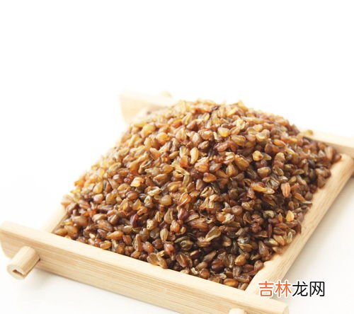 苦荞麦怎么吃,苦荞麦怎么好吃