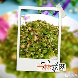 四季豆不炒熟会不会中毒呢,四季豆没有做熟,吃了会中毒吗?