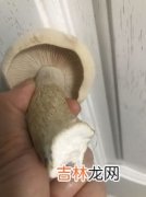 蘑菇发黑能吃吗,蘑菇放了几天发黑还能吃吗