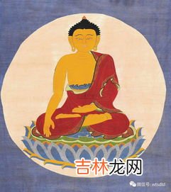 悉达多乔达摩和释迦牟尼是一个人吗,请问达摩和释伽牟尼