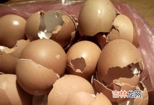 鸡蛋壳的妙用,鸡蛋壳有什么用