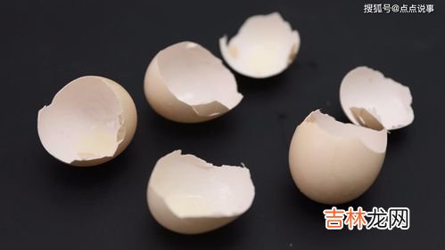鸡蛋壳的妙用,鸡蛋壳有什么用