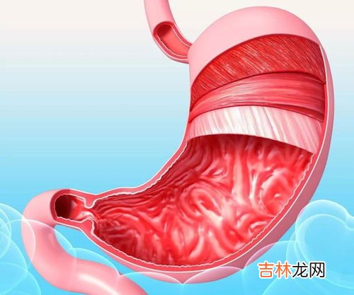 不良的生活习惯与胃癌密切相关吗,我们平时的生活习惯和饮食与胃癌的发生，究竟有没有关系？