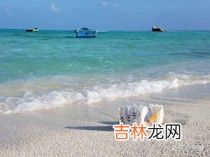 西沙群岛什么风景优美什么物产丰富,三年级《富饶西沙群岛》这篇课本的风景和物产有哪些