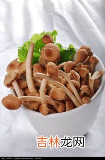 茶树菇小炒肉,50款猪肉做法,款款下饭,道道好吃,总有几款适合你