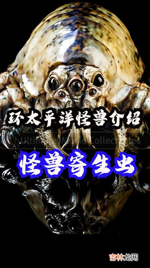 寄生虫剧情介绍,寄生虫电影剧情